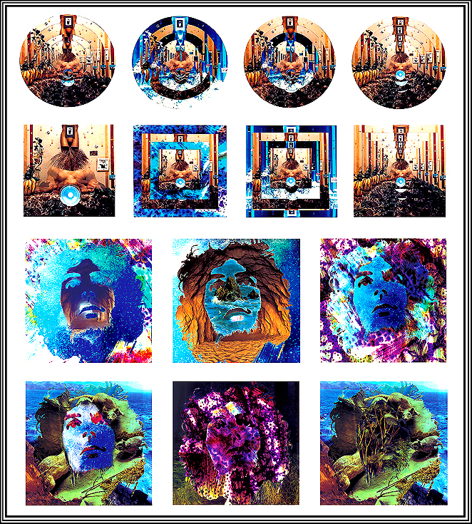 David E. T. Howard Photographer Artist Exhibition Color Photographs David E. T. Howard Photographer Artist