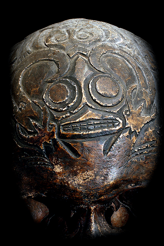 Hand Carved Human Skull Dayak tribe Borneo Indonesia