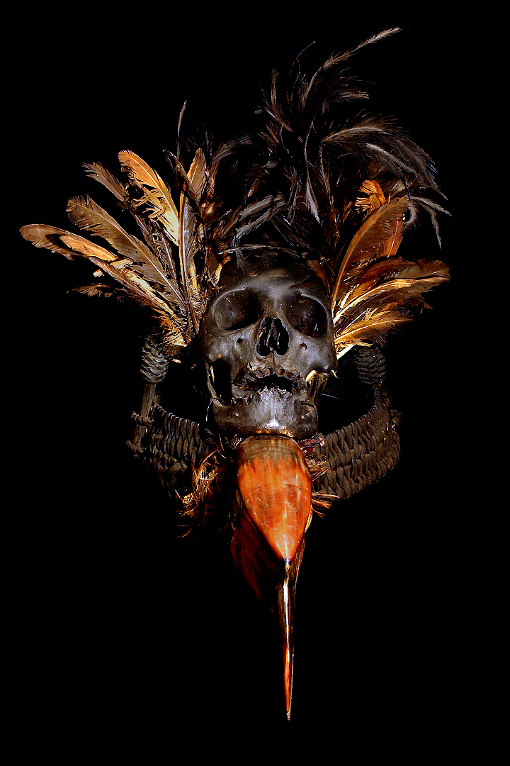 HEADHUNTING HUMAN TROPHY SKULL IFUGAO TRIBE PHILIPPINES