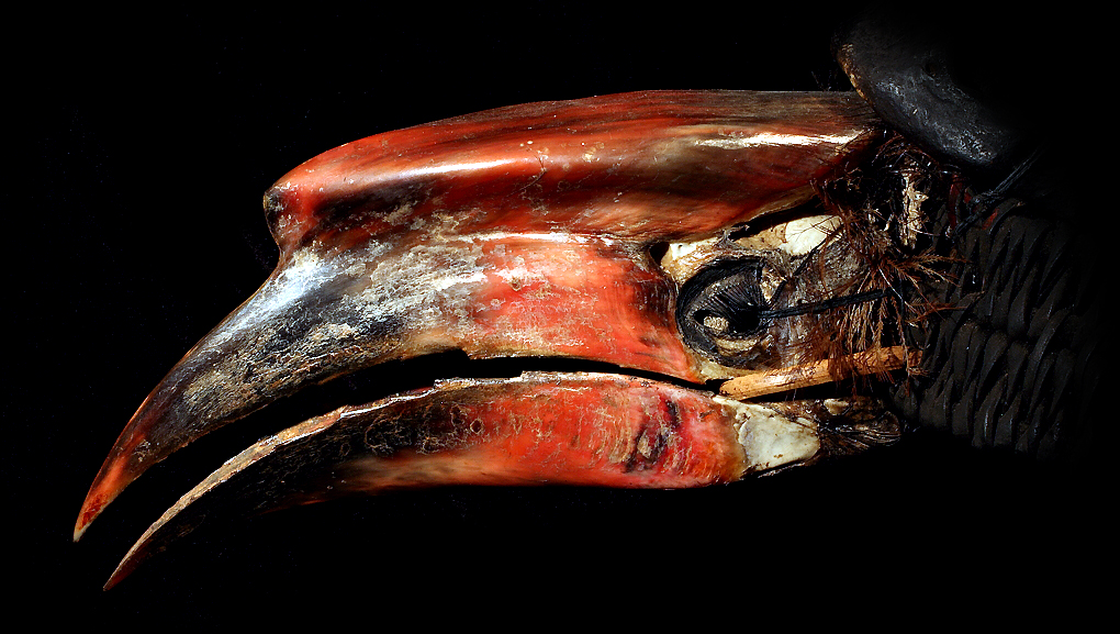 DAVID HOWARD TRIBAL ART