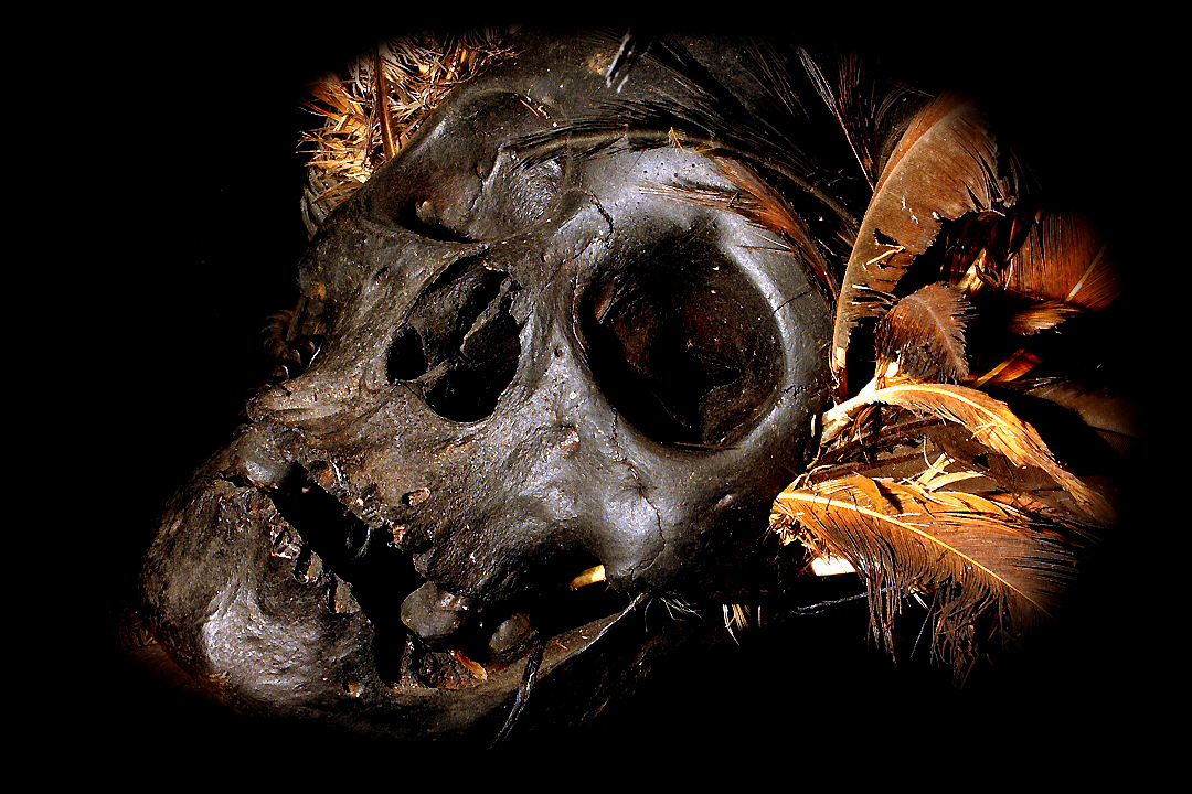 IFUGAO HEAD HUNTING TROPHY SKULL DAVID HOWARD TRIBAL ART