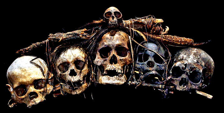 Authentic Head Hunting Trophy Skulls