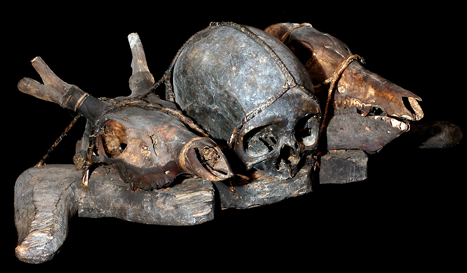 Real Hman Skull Ifugao Head Hunting Trophy David Howard Tribal Art