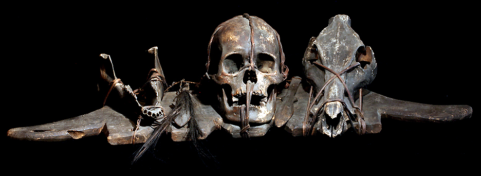 David Howard Tribal Art Ifugao Trophy Skull