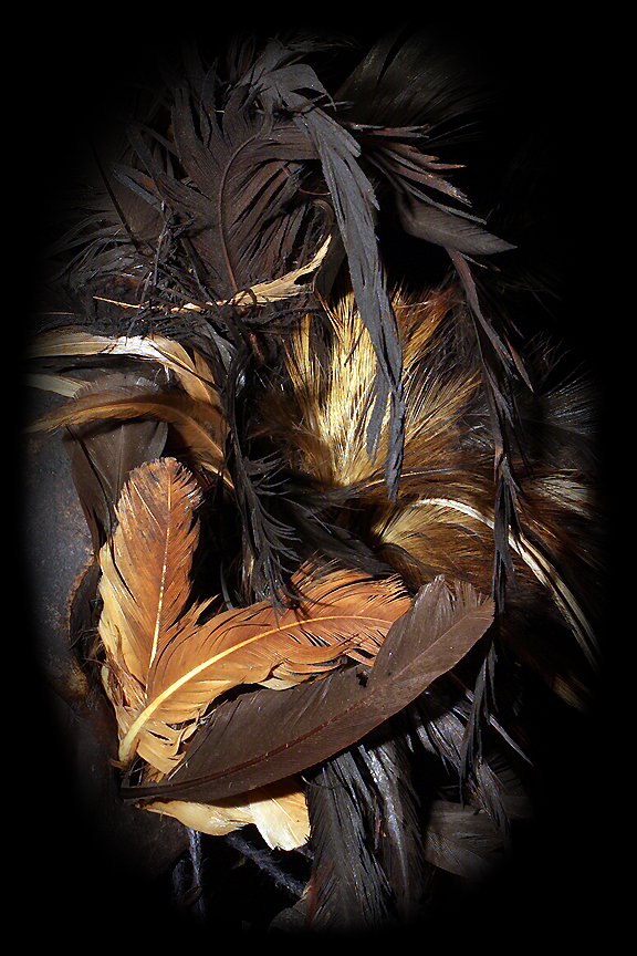 Ifugao Headdress feathers