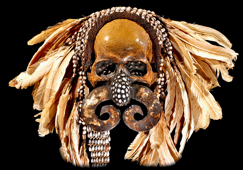 Asmat Skull Hand Carved Shell Nose Ring Tribal rt Asia