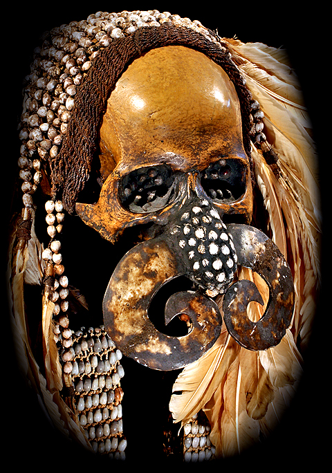 Asmat Skull Feather decorated David Howard Tribal Art