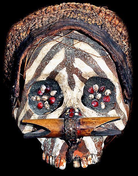 Asmat Tribe Victim Human Skull