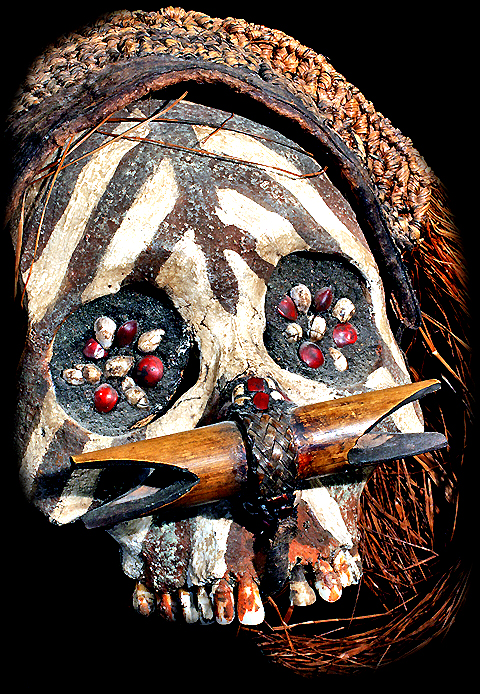 Asmat Tribe Human Victim Skull Tribal Art Asia