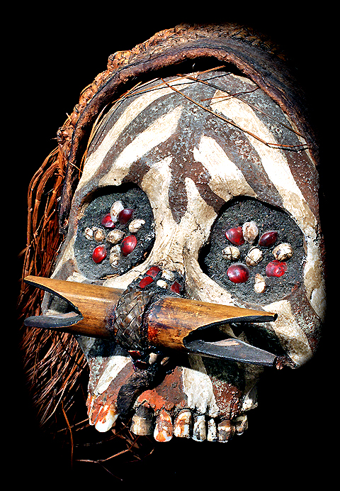 Asmat Human Victim Skull David Howard Tribal Art
