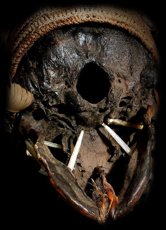 David Howard Tribal Art Asmat decorated Authentic Real Human Skull