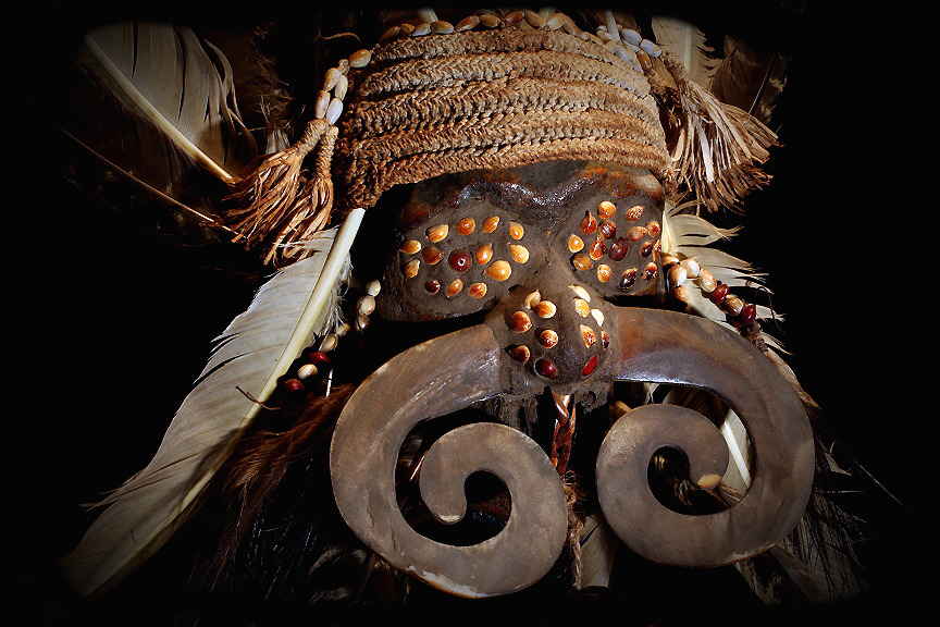 Shell Nose Ring Asmat Tribe David Howard Tribal Art