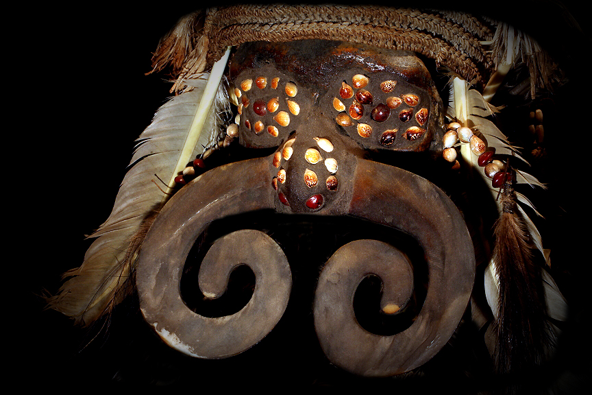 Asmat Human Skull Hand Carved Shell Nose Ring David Howard Tribal Art
