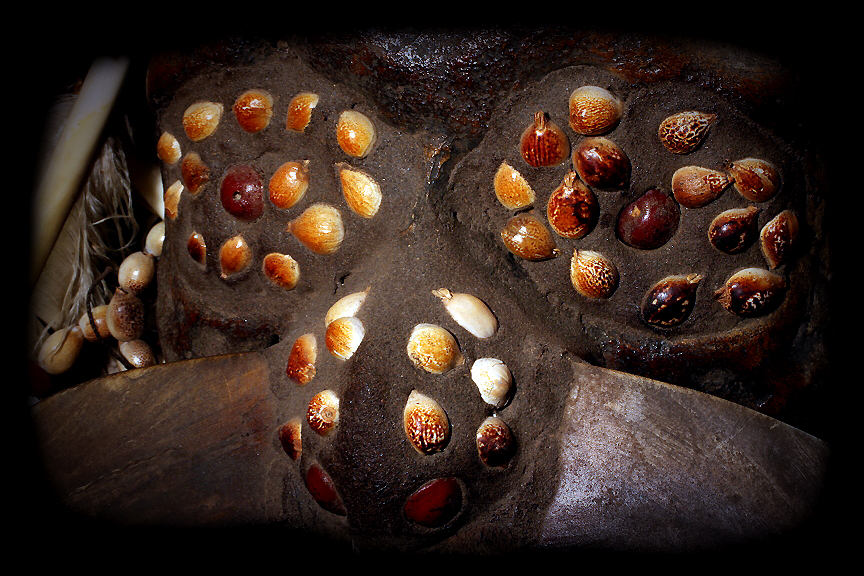 David Howard Tribal Art Asmat Seed Eyes Asmat Human Skull