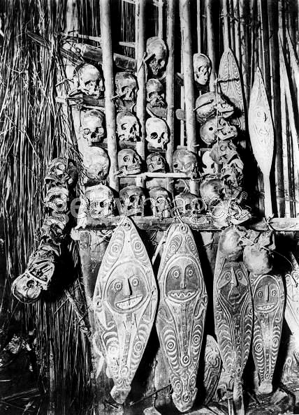 ASMAT HEAD HUNTING SKULLS