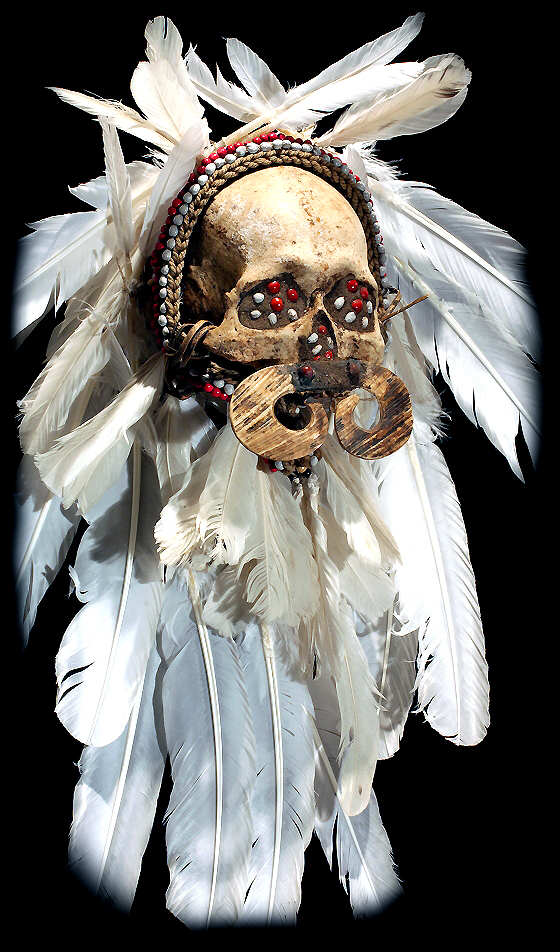 Asmat Human Skull David Howard Tribal Art