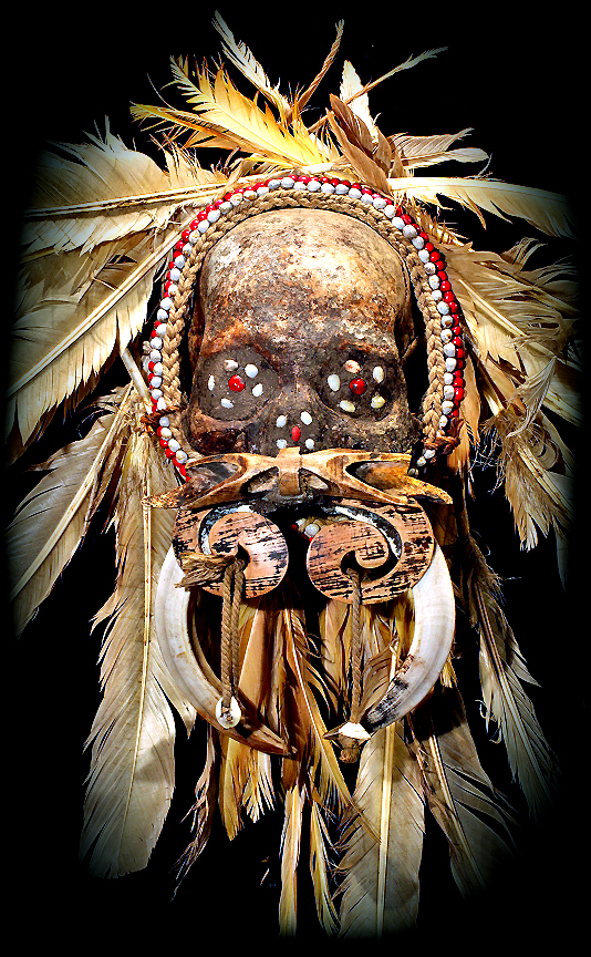Asmat Skull Tribal Art Asia