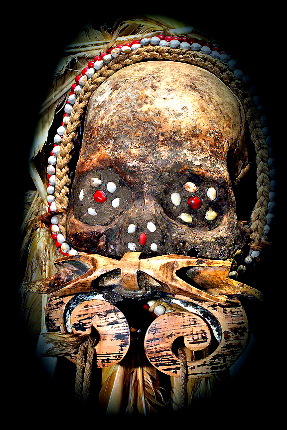 David Howard Tribal Art Asmat Skull