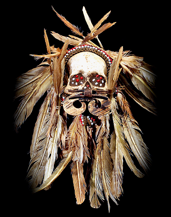 Asmat Skull David Howard Tribal Art