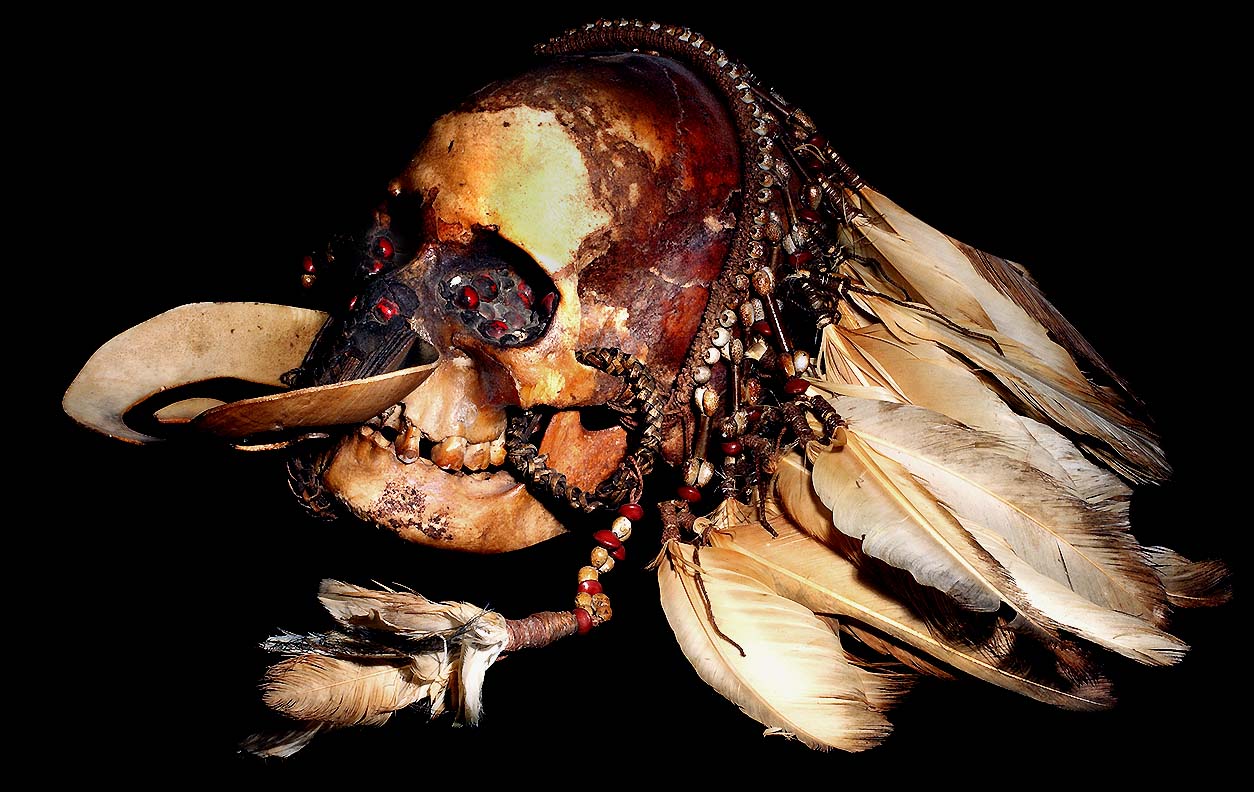 ASMAT AUTHENTIC ANCESTOR SKULL