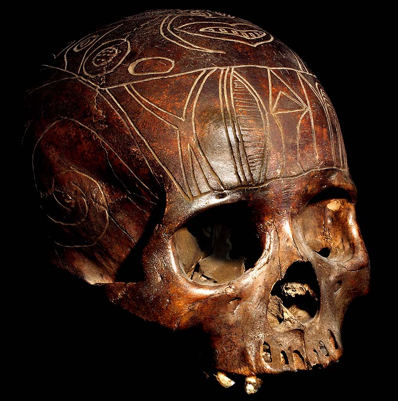 DAYAK TRIBAL TROPHY HEAD HUNTING HUMAN SKULL