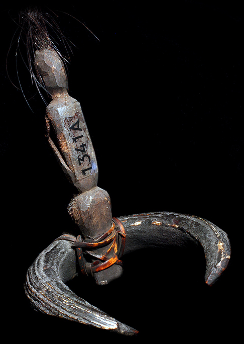 Head Hunter Warrior's Boar Tuck Arm Band David Howard Tribal Art Ifugao Tribe Philippines