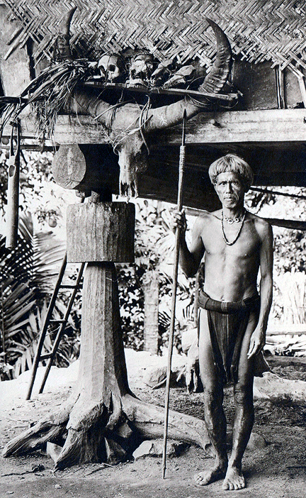 IFUGAO HEAD HUNTER WARRIOR WITH TWO HUMAN TROPHY SKULLS THE LAST FILIPINO HEAD HUNTERS DAVID HOWARD TRIBAL ART