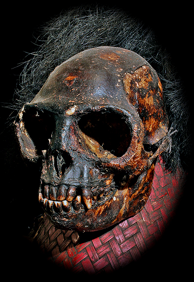 Naga Trophy Skull David Howard Tribal Art